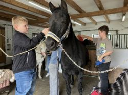 25-10-13 14-11-05 7592